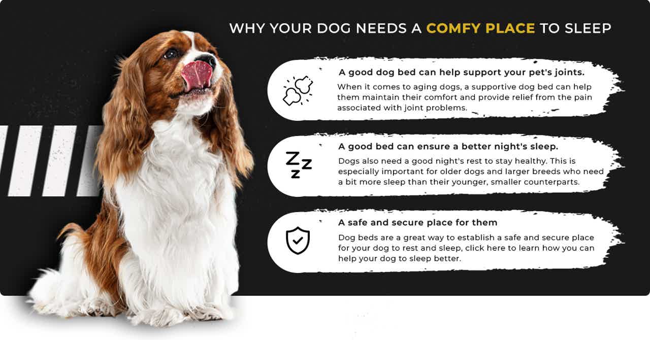 Calming Donut Dog Bed PetBelong